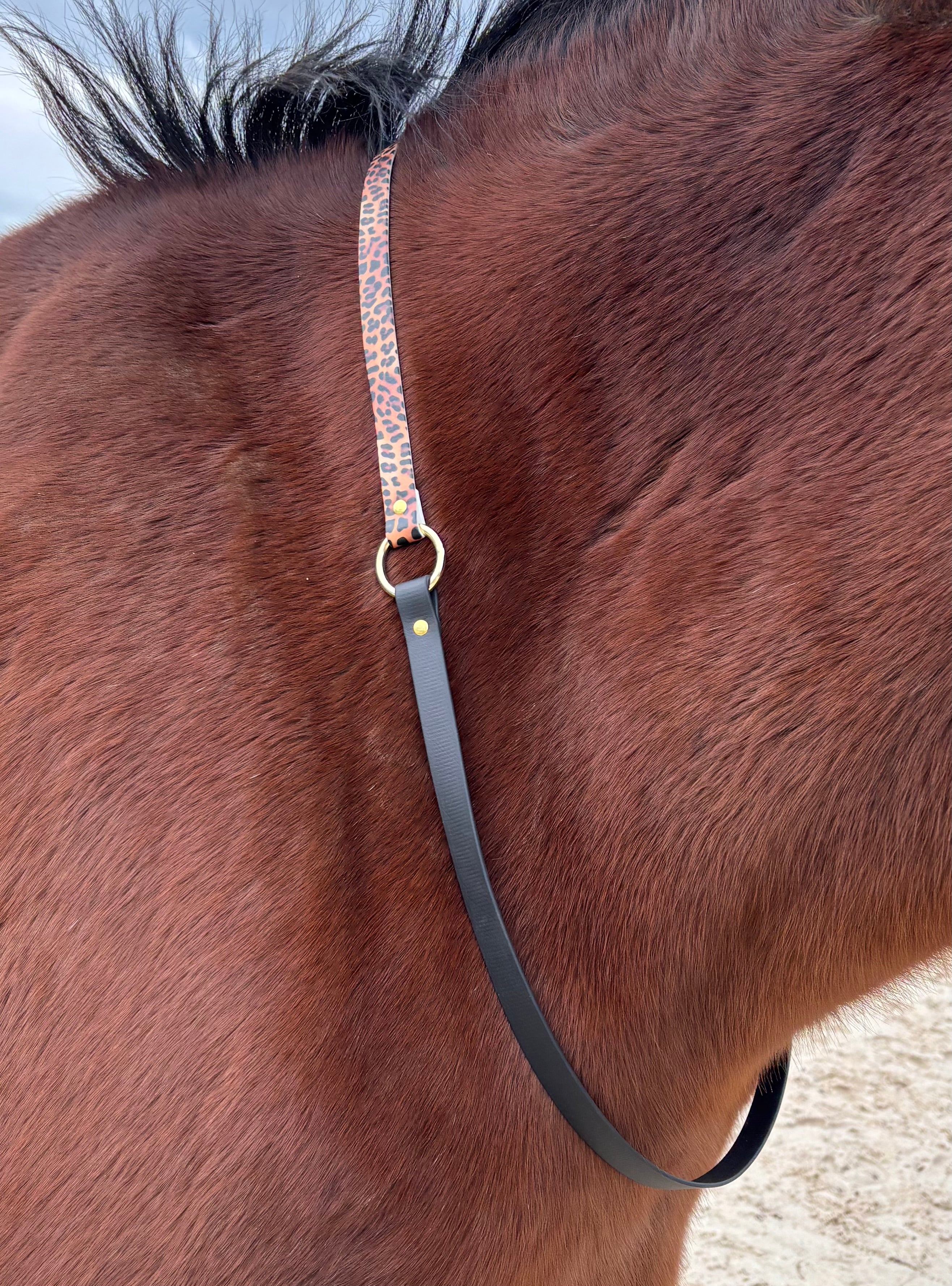 Cordelette biothane léopard