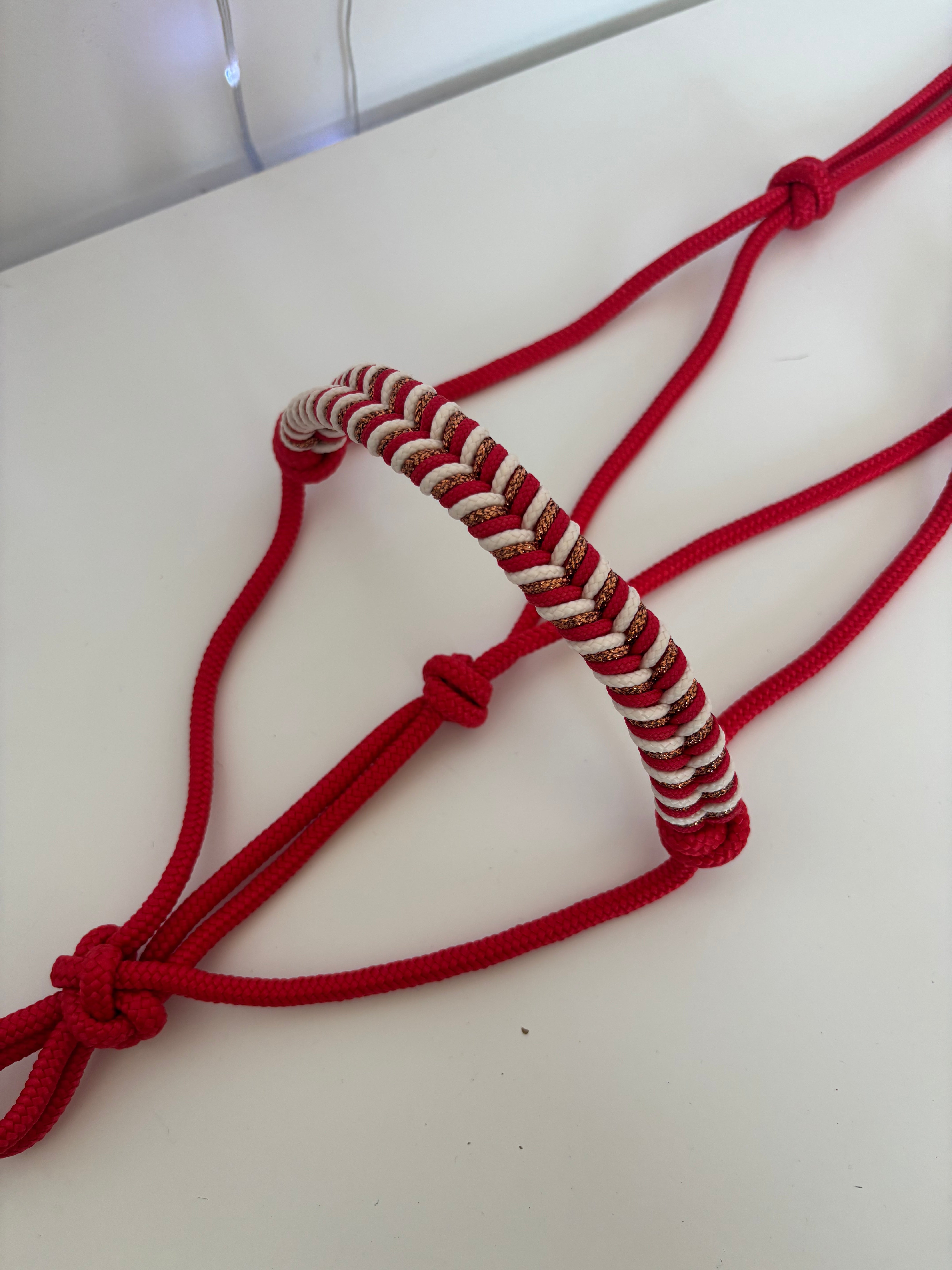 Licol en corde ALYSSE 2
