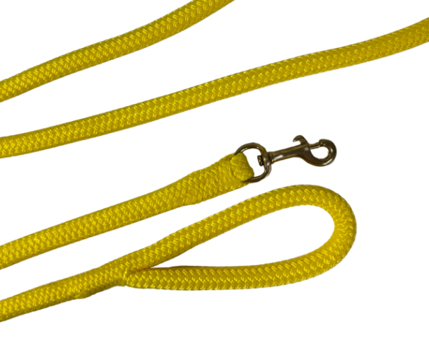 Longe personnalisable éthologique | avec une poignée