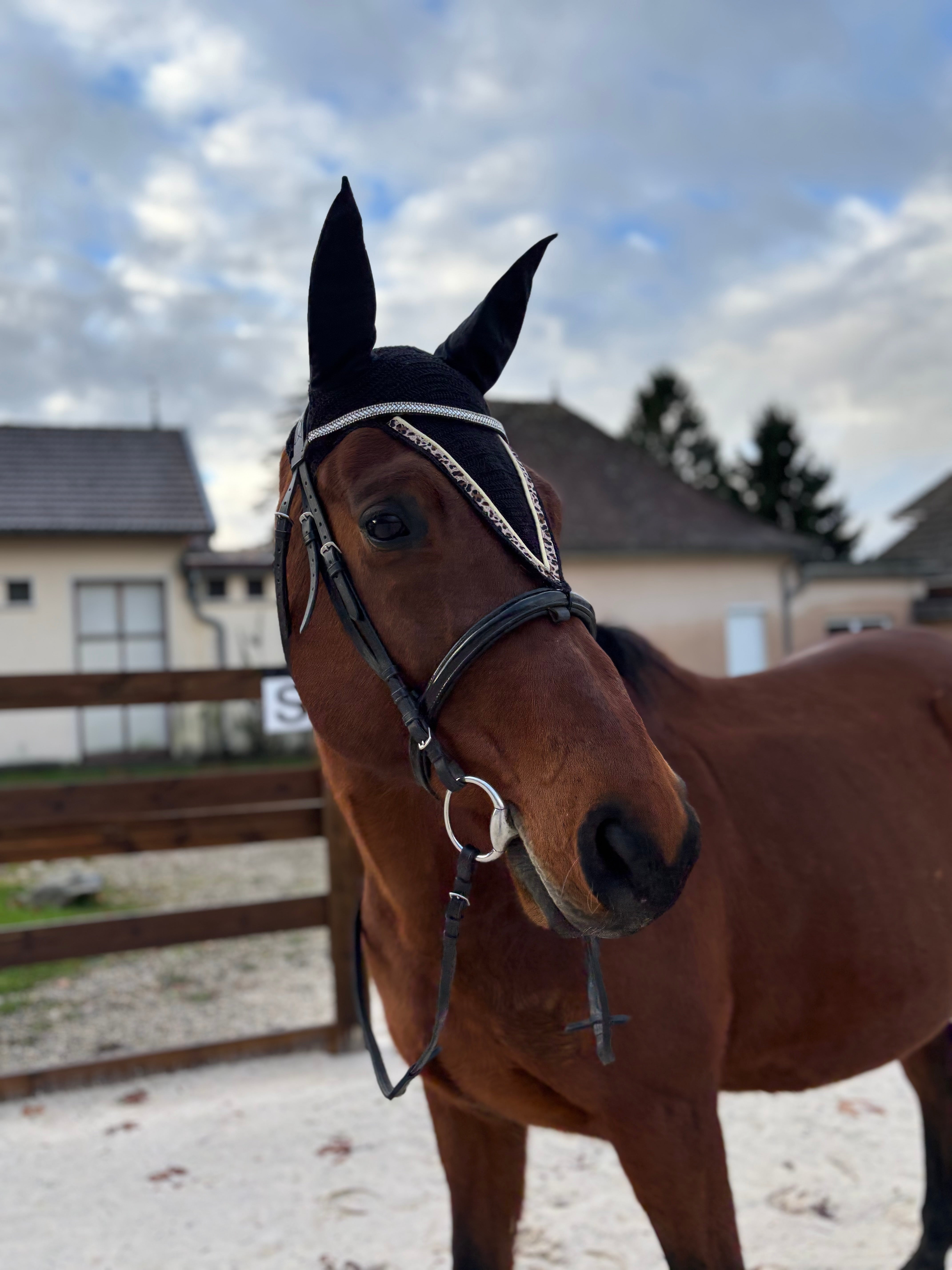 Bonnet noir léopard