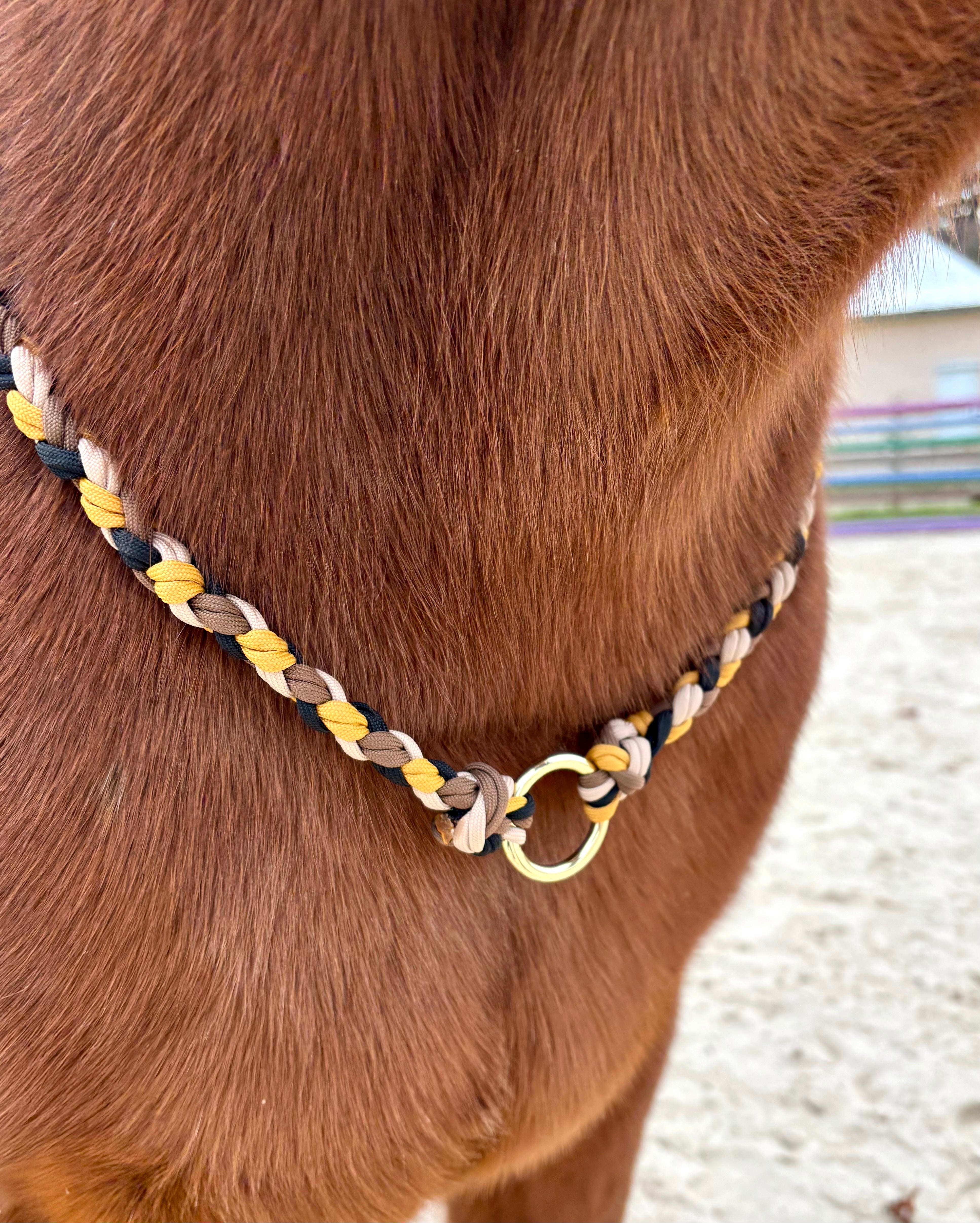 Cordelette en corde léopard