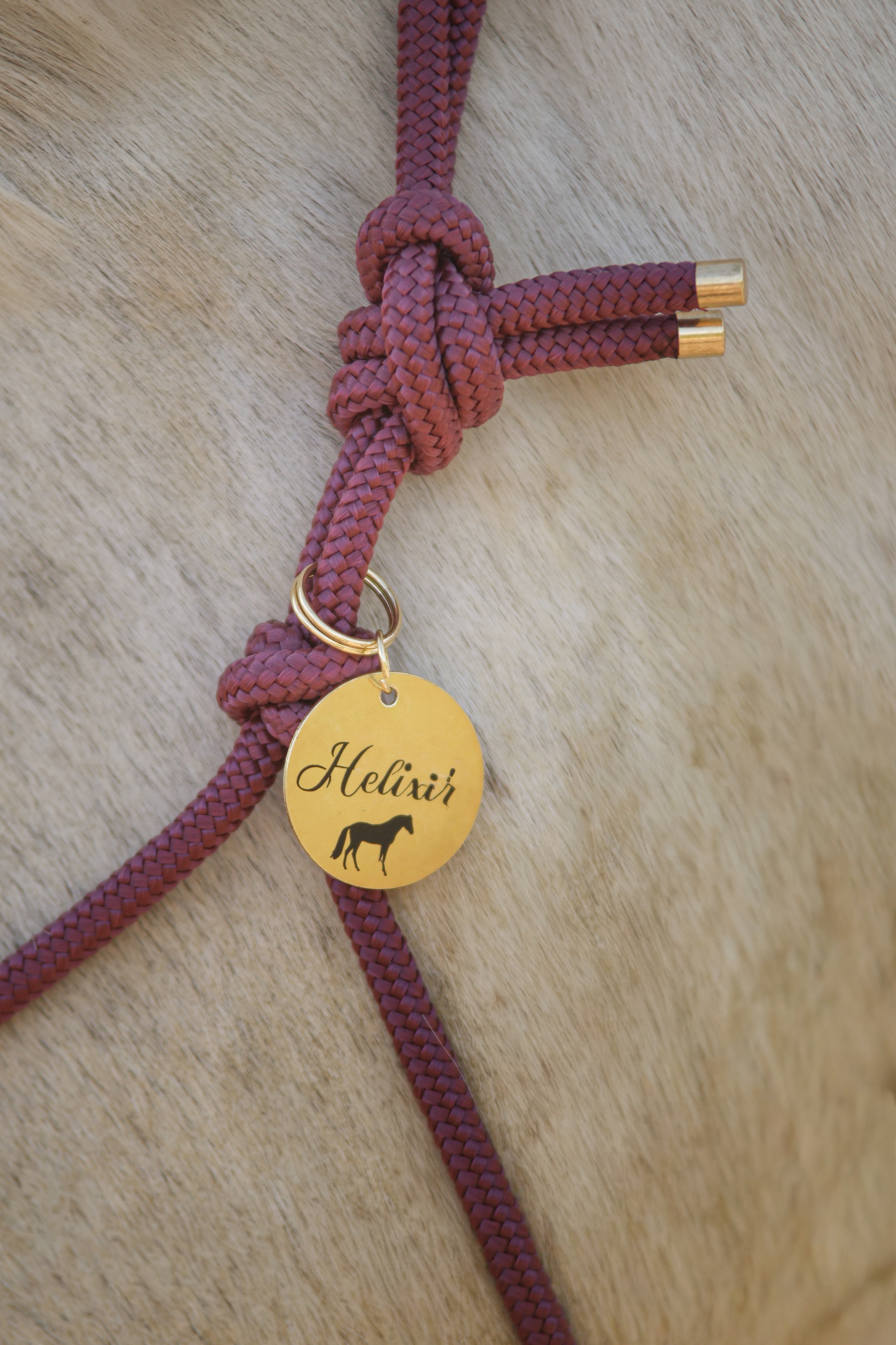 Médaille de licol personnalisable