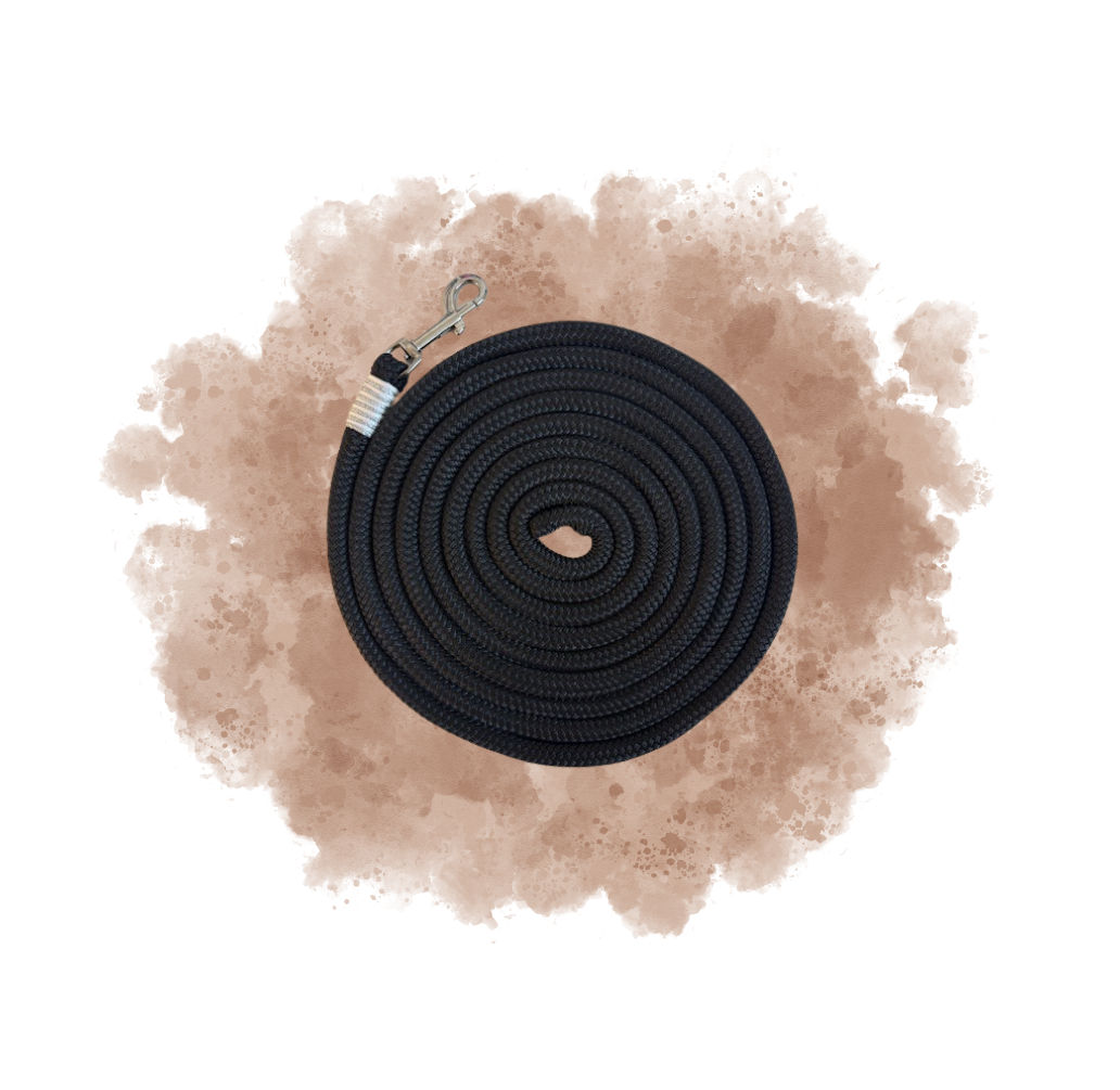 longe personnalisable | 12MM, avec tressage bicolore