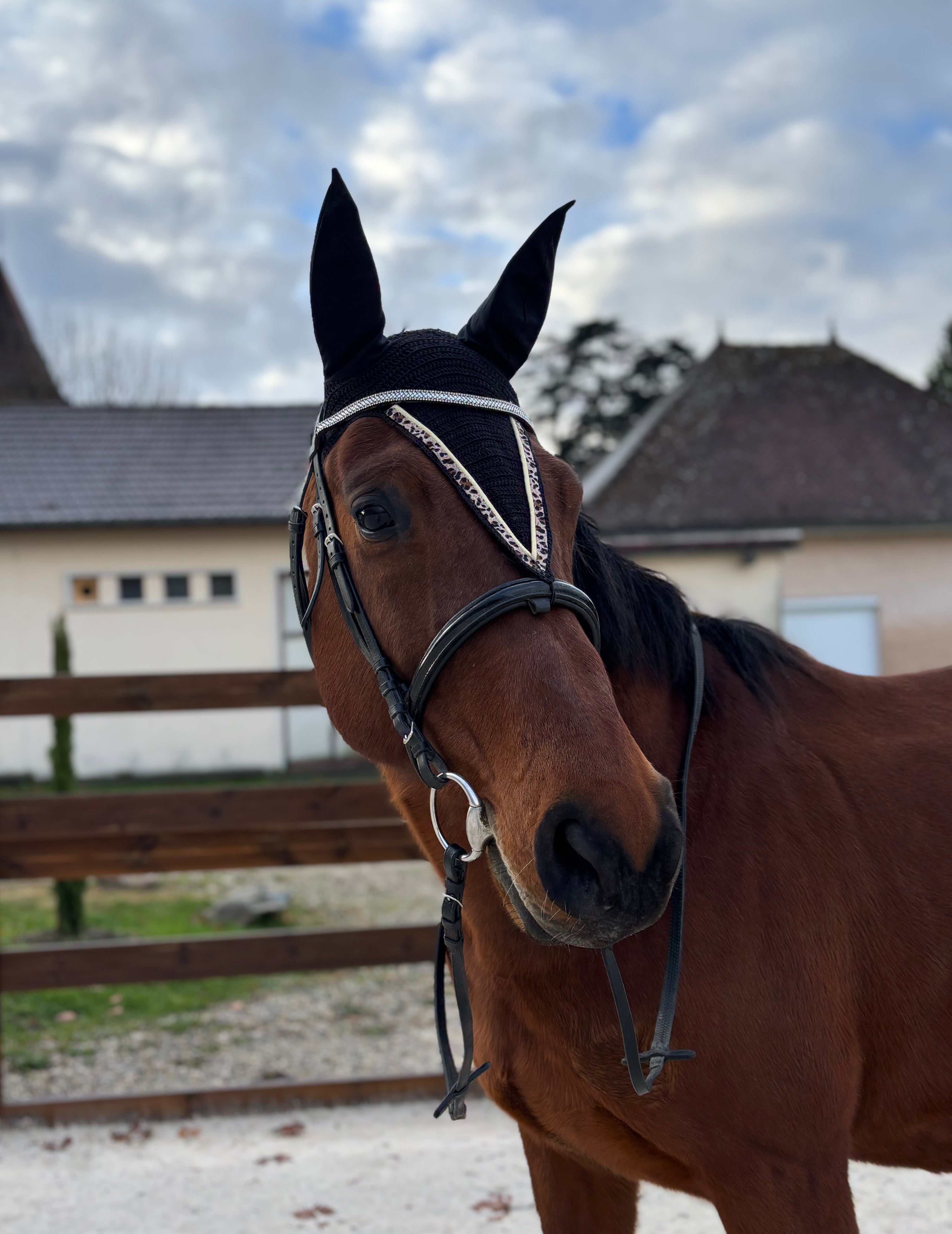 Bonnet noir léopard