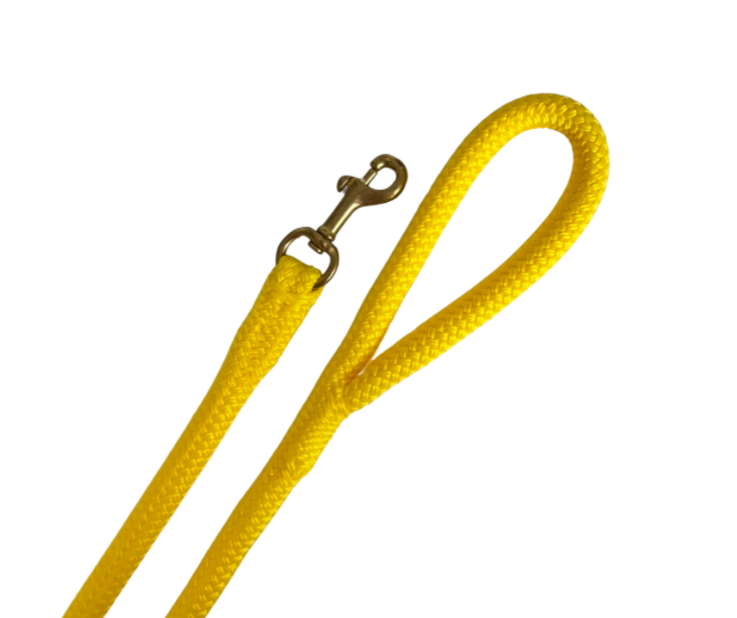 Longe personnalisable éthologique | avec une poignée