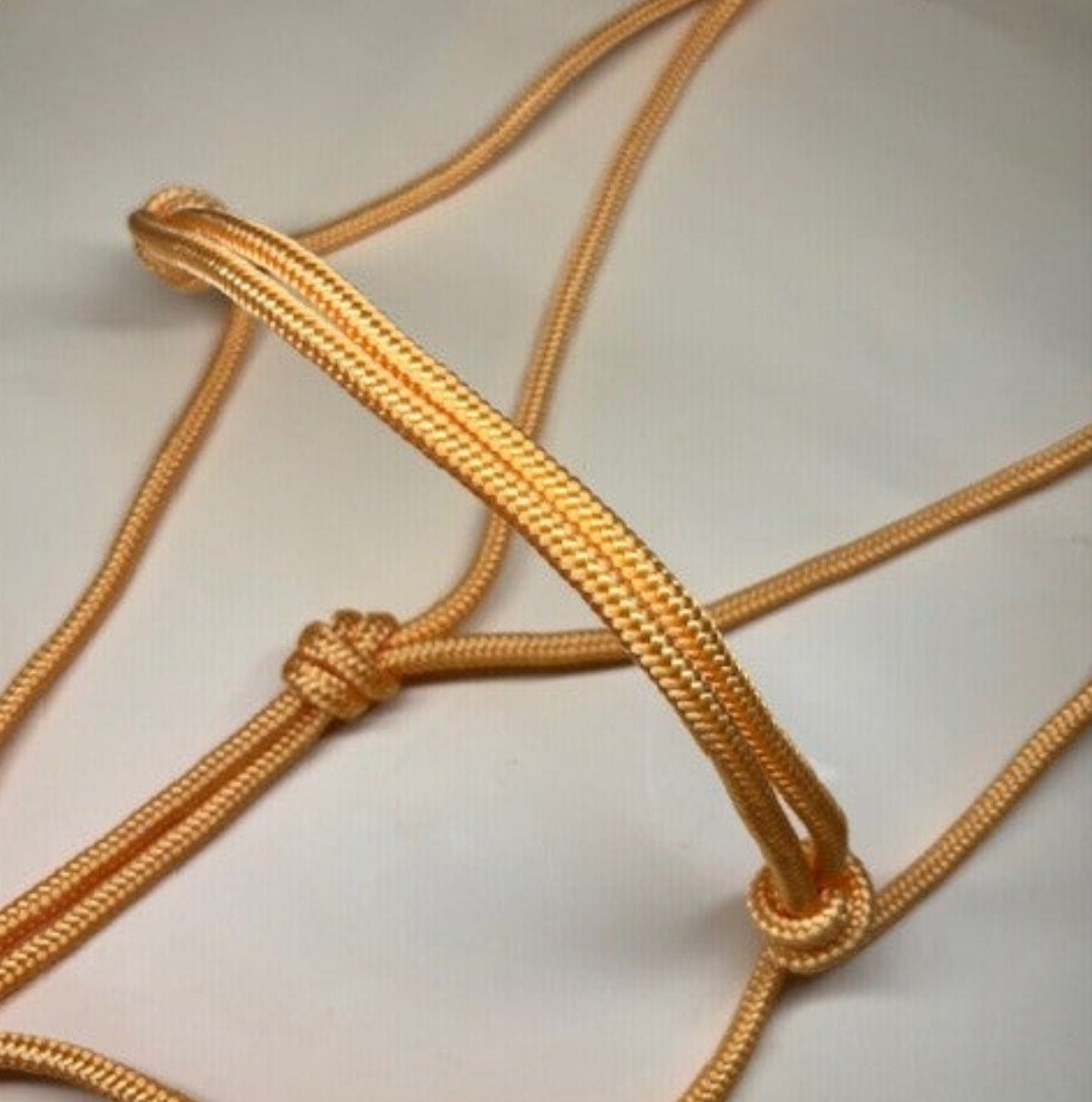 licol personnalisable | classique