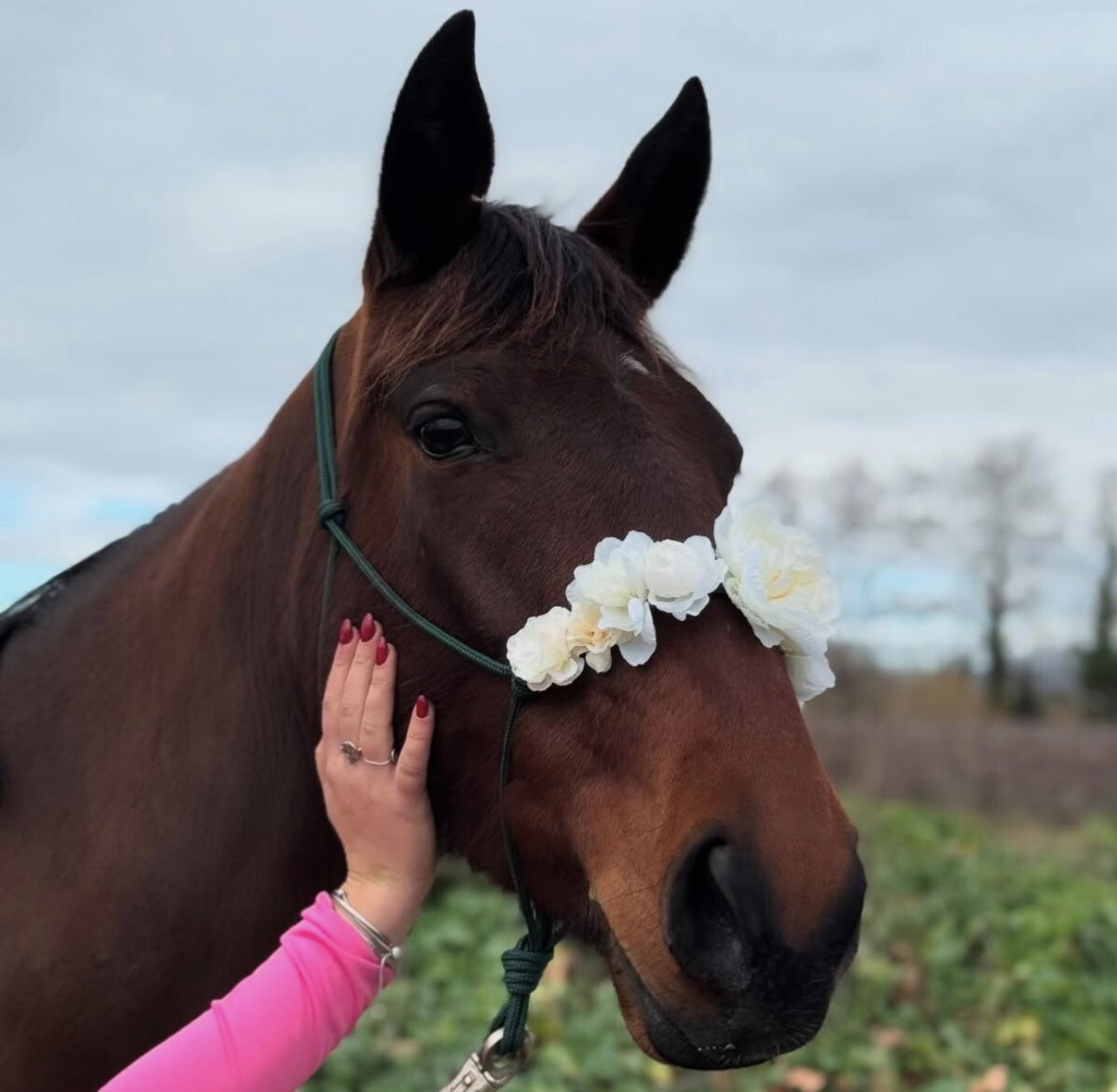 licol personnalisable | composition florale