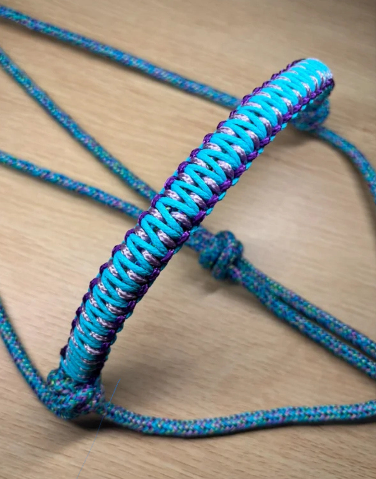 licol personnalisable | tressage Lys