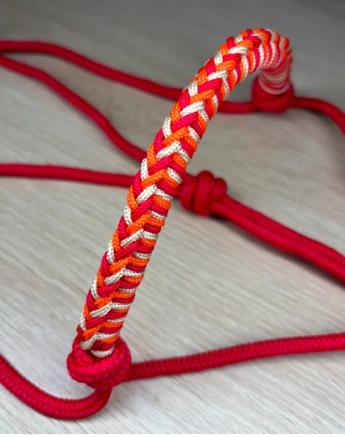 licol personnalisable | tressage Petunia