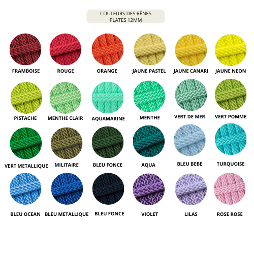 Rênes personnalisable | plates legères