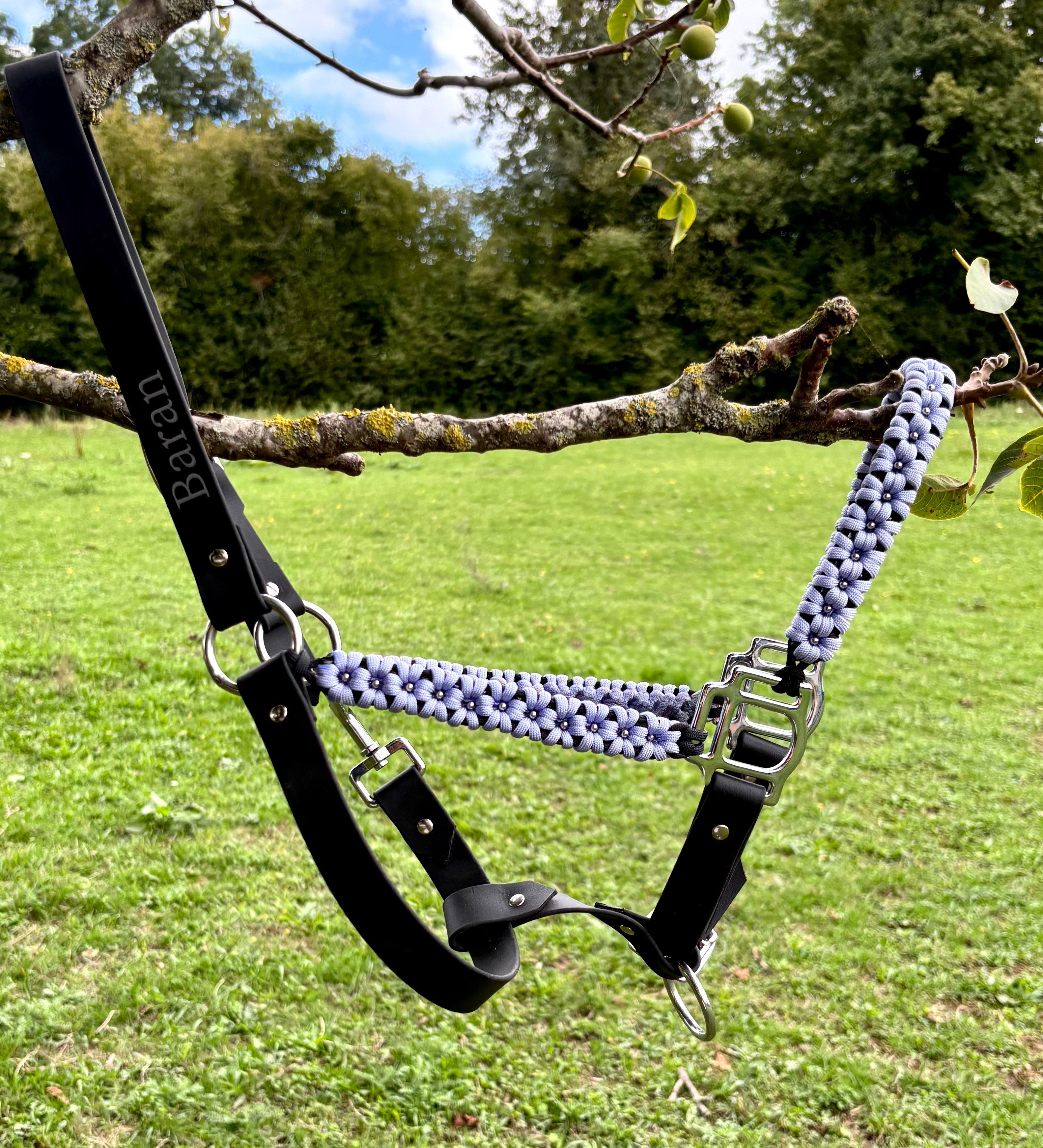 Licol plat personnalisable | ÉRABLE