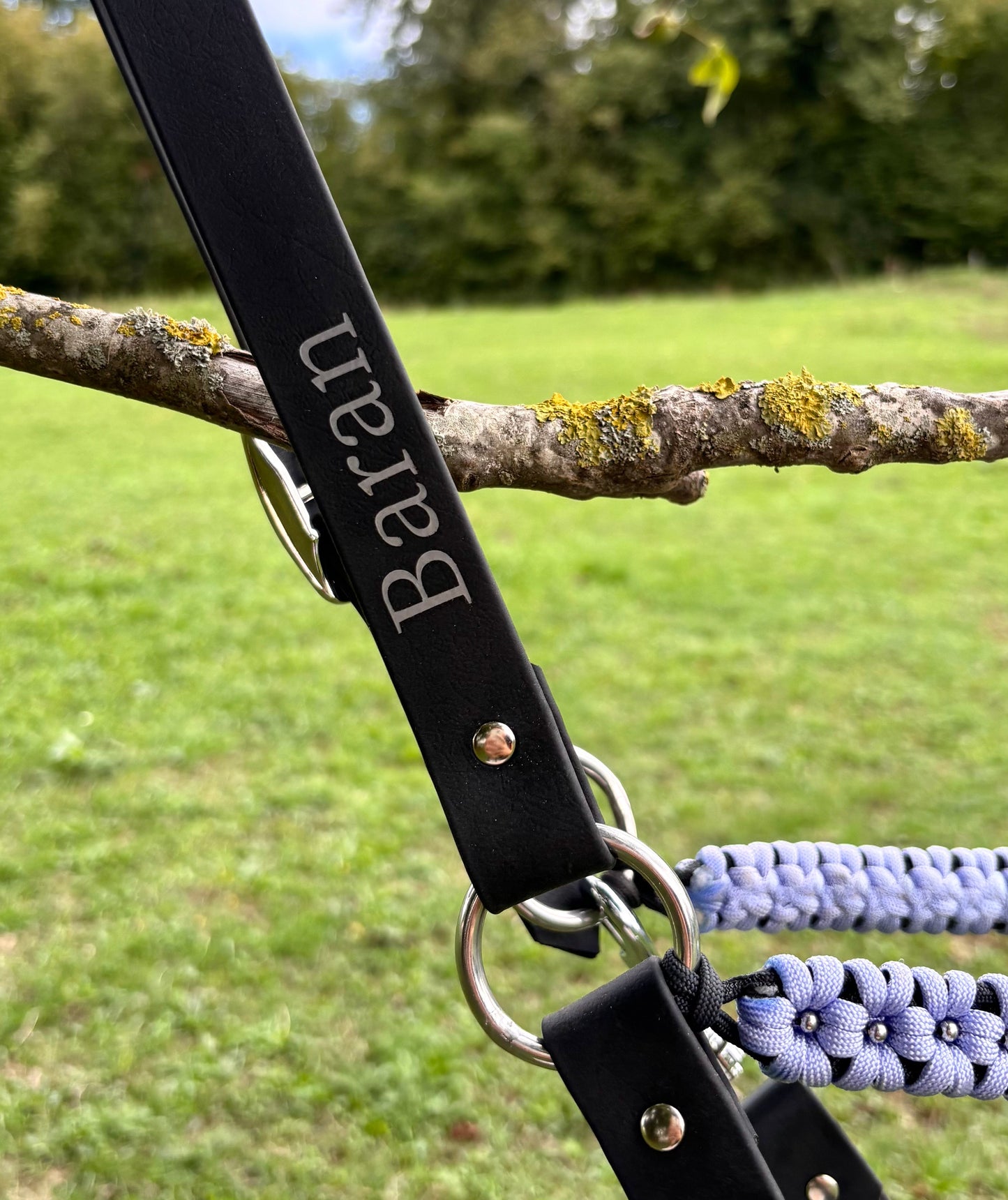 Licol plat personnalisable | ÉRABLE