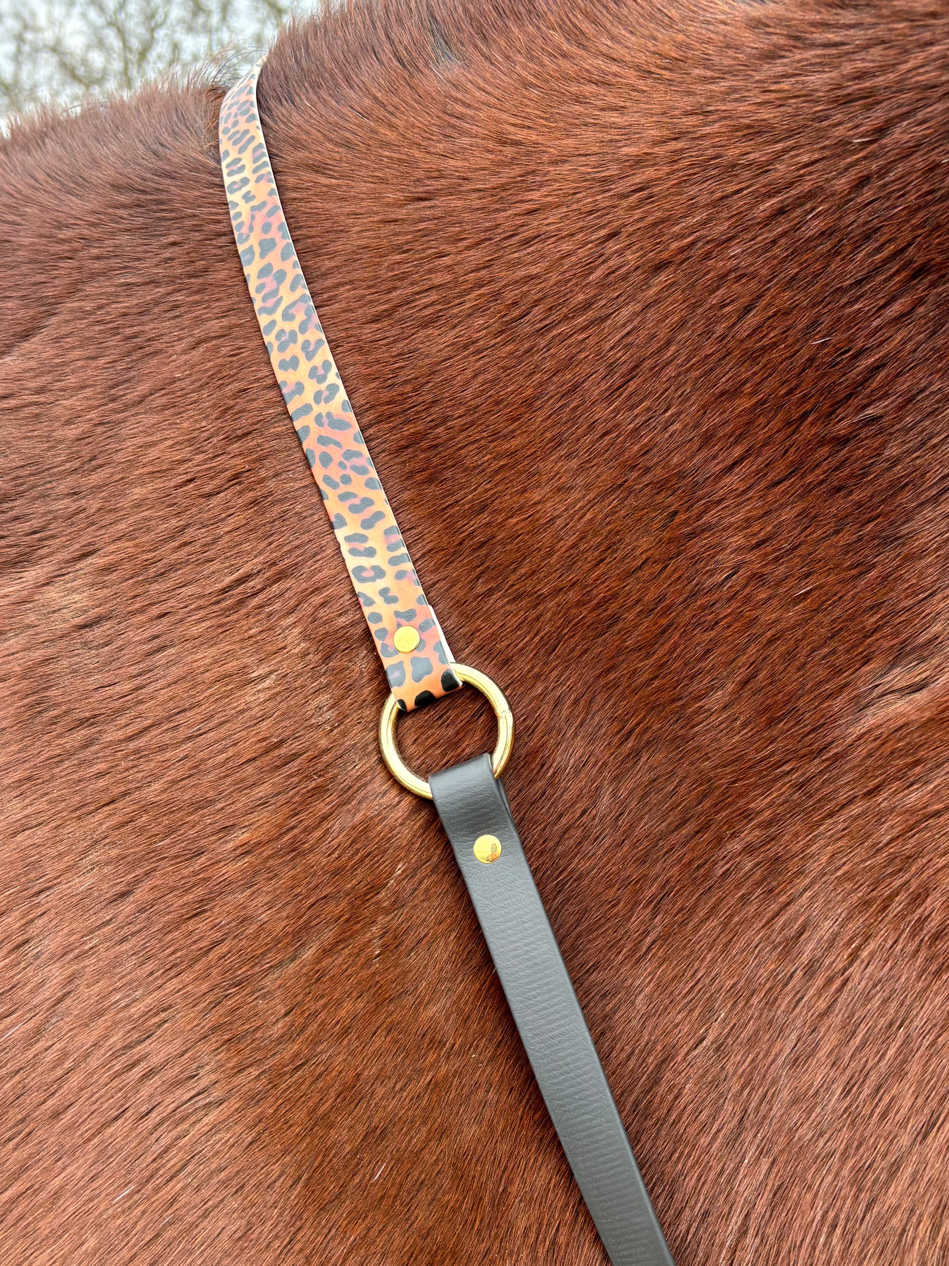 Cordelette biothane léopard