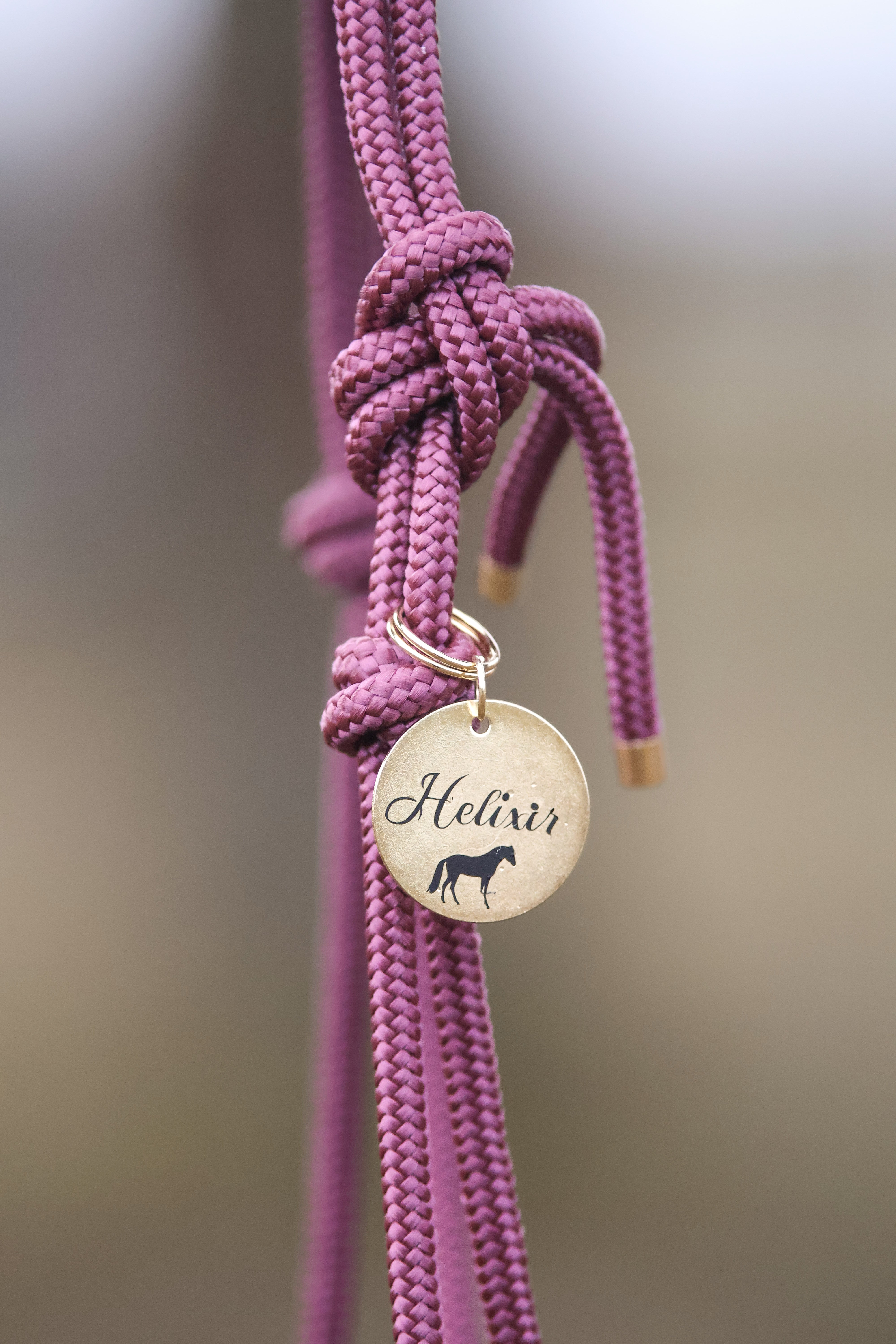 Médaille de licol personnalisable