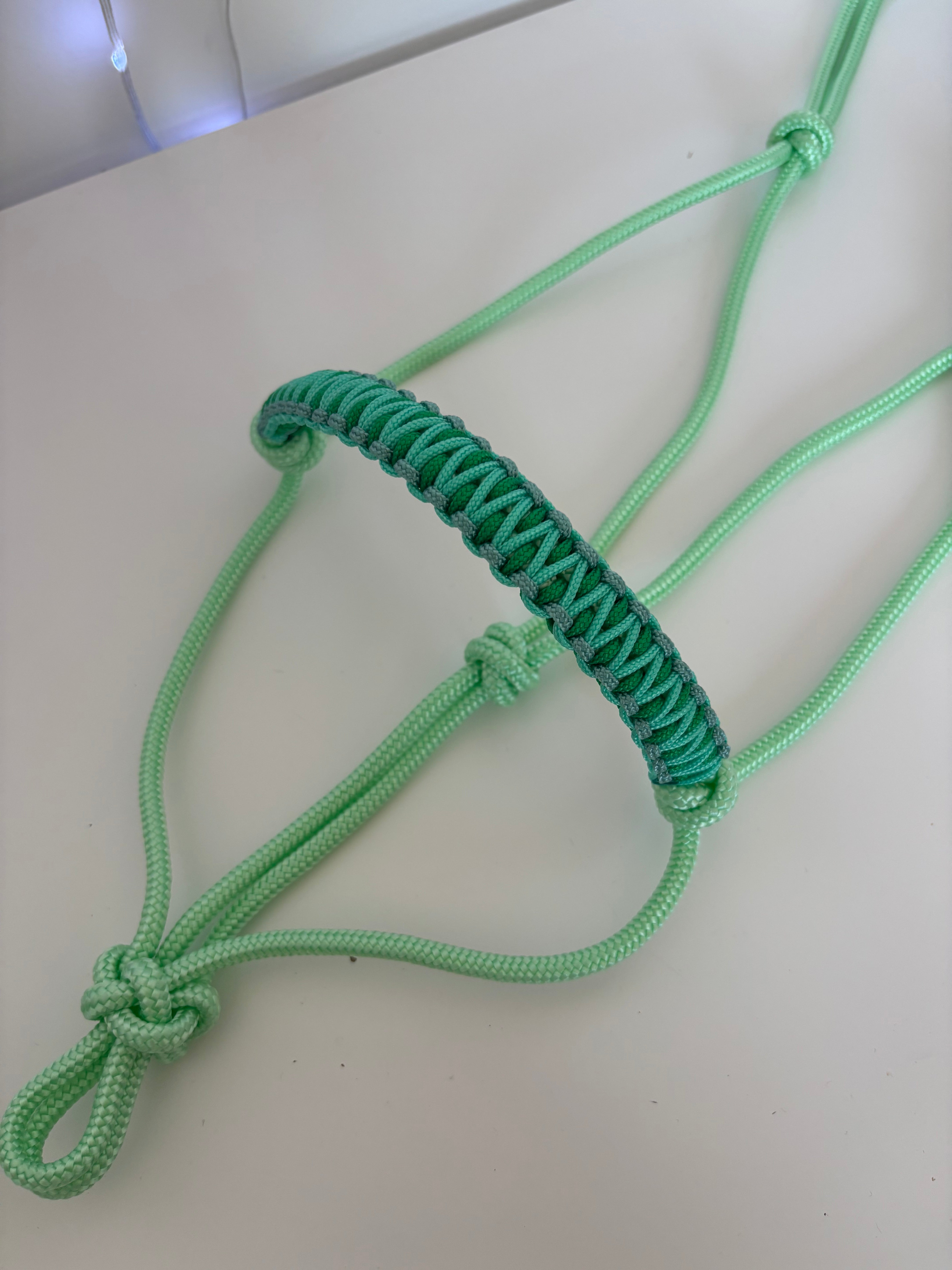 Licol en corde LYS