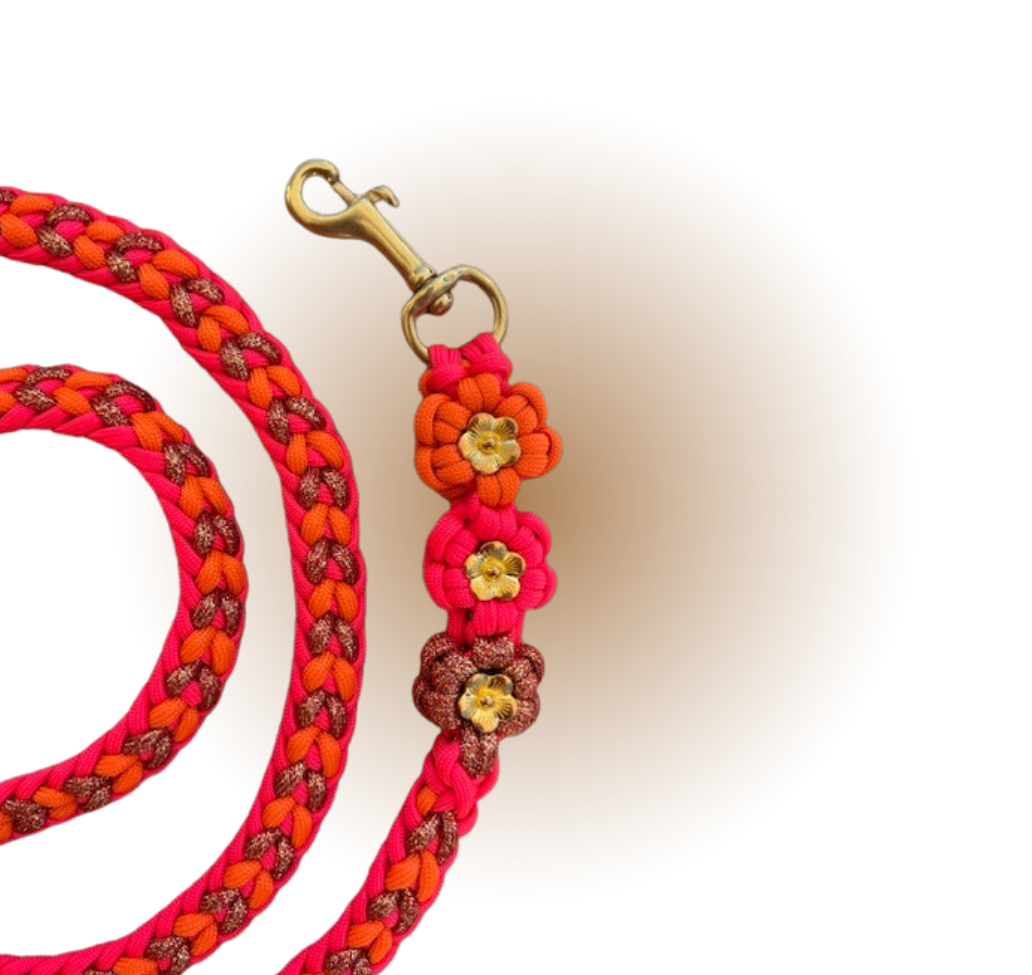 longe | Edition PRINTEMPS