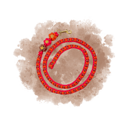 longe | Edition PRINTEMPS