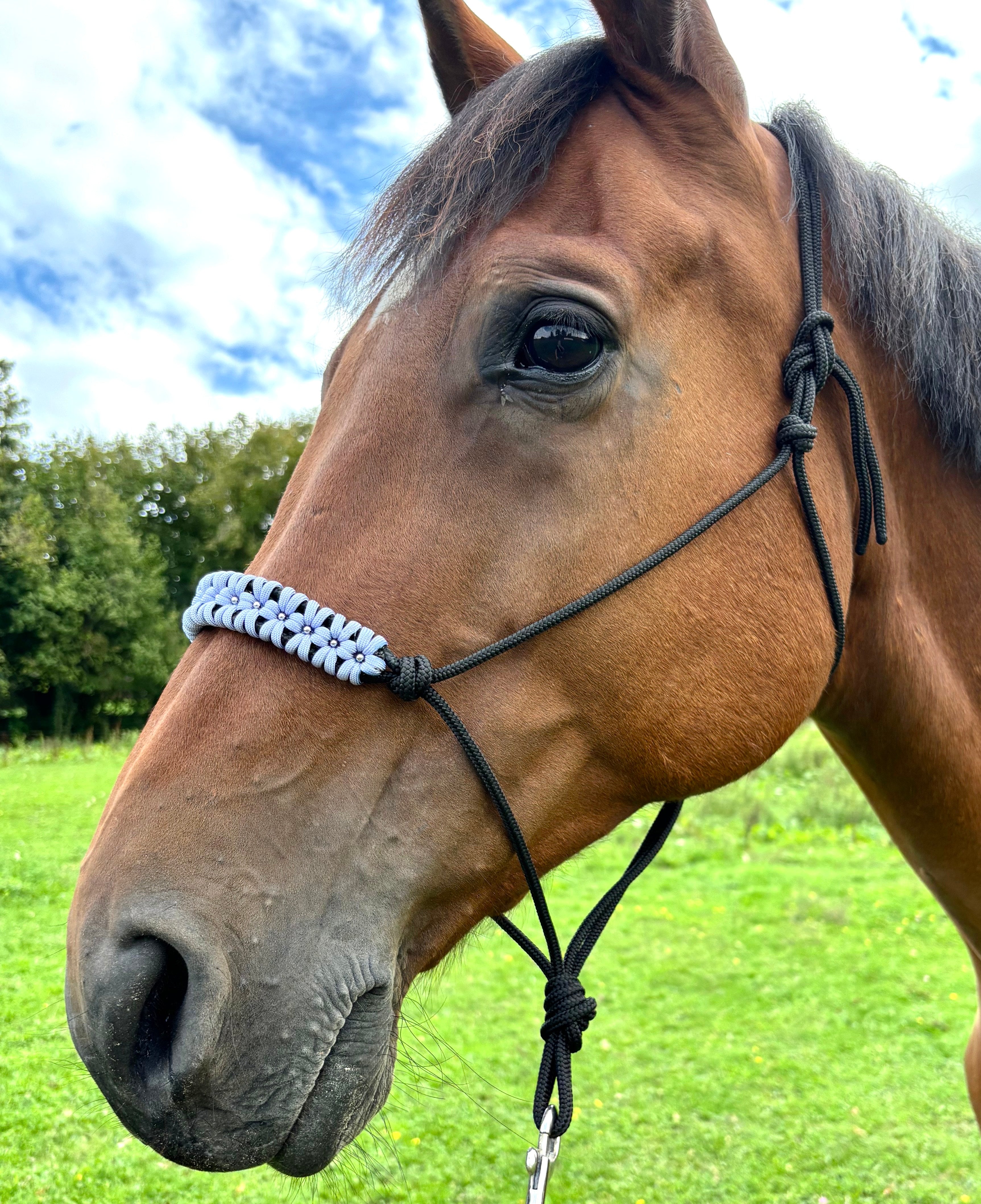 Licol en corde personnalisable | ÉRABLE