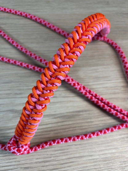 licol personnalisable | tressage Jasmin